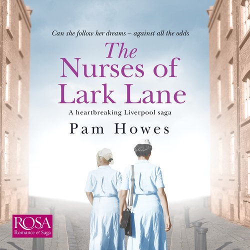 The Nurses of Lark Lane