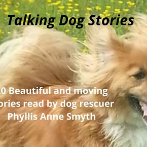 Talking Dog Stories thumbnail