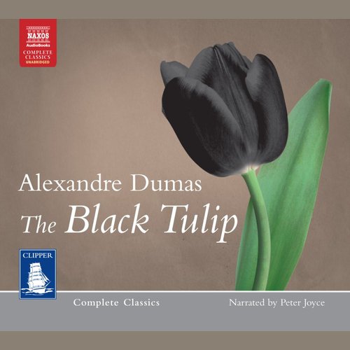 The Black Tulip