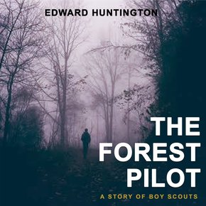 The Forest Pilot thumbnail