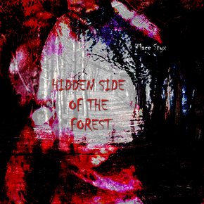 Hidden Side of the Forest thumbnail