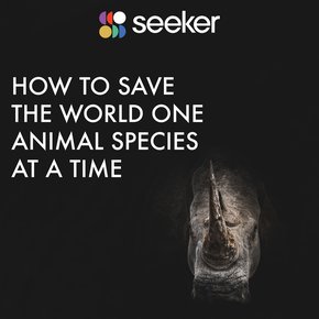How to Save the World One Animal Species at a Time thumbnail