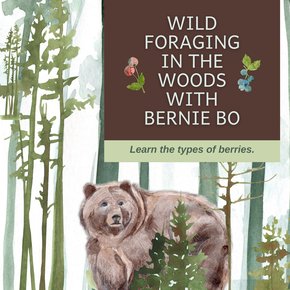 Wild Foraging In The Woods With Bernie Bo thumbnail