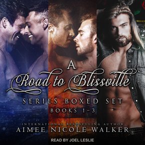 Road to Blissville Series Boxed Set thumbnail