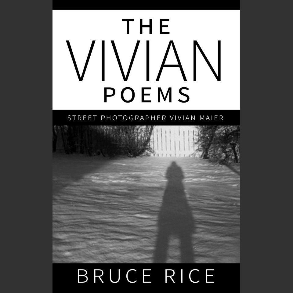 The Vivian Poems by Bruce RIce - Audiobook