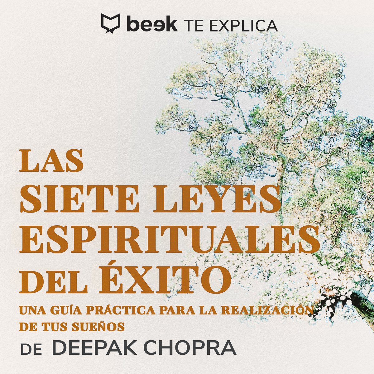 Las 7 leyes espirituales del éxito… Beek te explica Beek