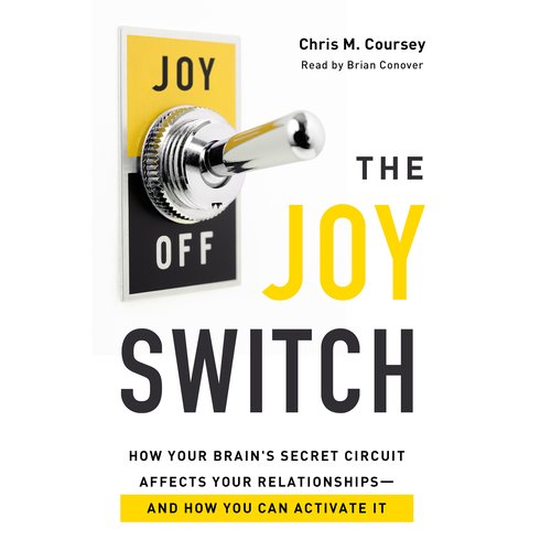 The Joy Switch