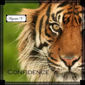 Confidence thumbnail