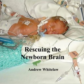 Rescuing the Newborn Brain thumbnail