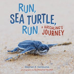 Run Sea Turtle Run thumbnail