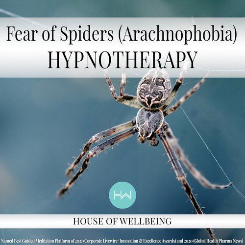 Fear of Spiders (Arachnophobia)