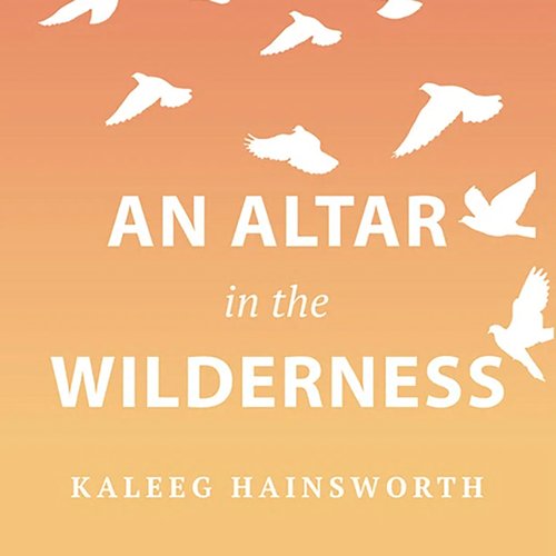 uLibraryDigital Audio Thumbnail