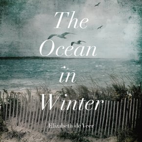 The Ocean in Winter thumbnail