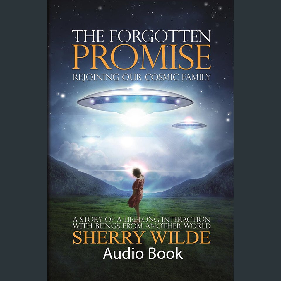 The Promise by Sherry Wilde Audiobook