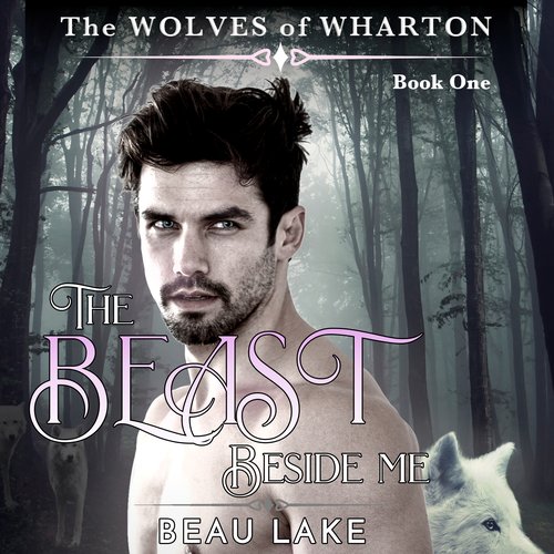 uLibraryDigital Audio Thumbnail