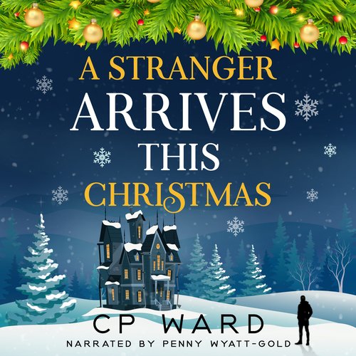 A Stranger Arrives This Christmas