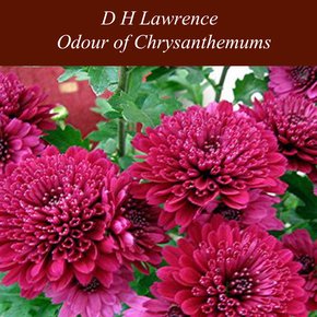 Odour of Chrysanthemums thumbnail