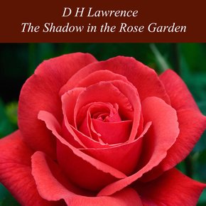 The Shadow in the Rose Garden thumbnail