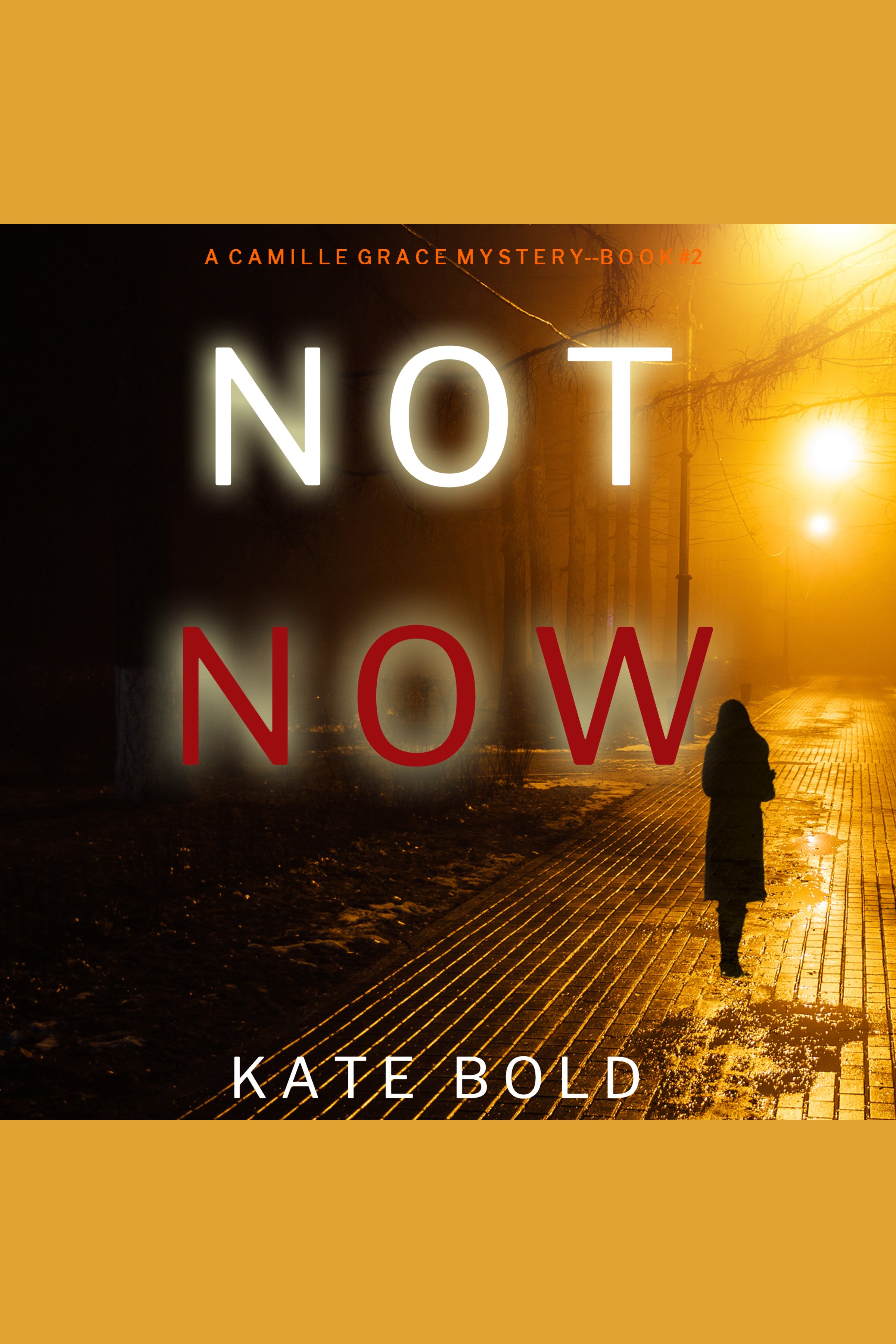 Not Now (A Camille Grace FBI Suspense Thriller—Book 2) - Audiobook, By ...