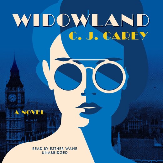 Widowland: A Novel